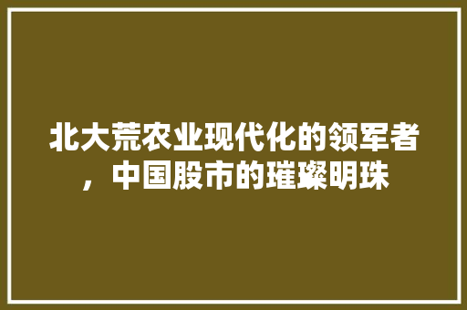 北大荒农业现代化的领军者，中国股市的璀璨明珠 SEO教程