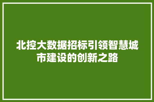 北控大数据招标引领智慧城市建设的创新之路 WordPress教程