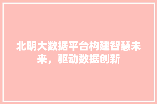 北明大数据平台构建智慧未来，驱动数据创新 SEO教程