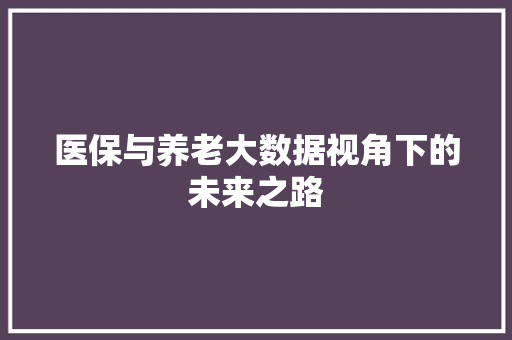 医保与养老大数据视角下的未来之路 SEO教程