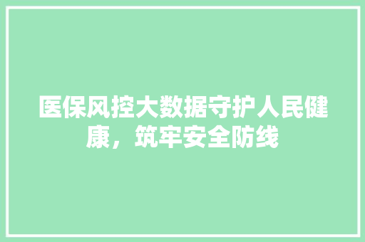 医保风控大数据守护人民健康，筑牢安全防线