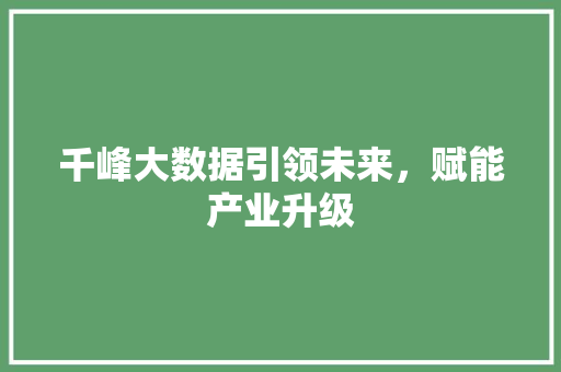 千峰大数据引领未来，赋能产业升级 建站教程