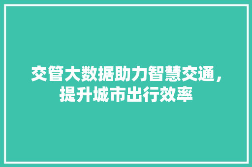 交管大数据助力智慧交通，提升城市出行效率 SEO教程