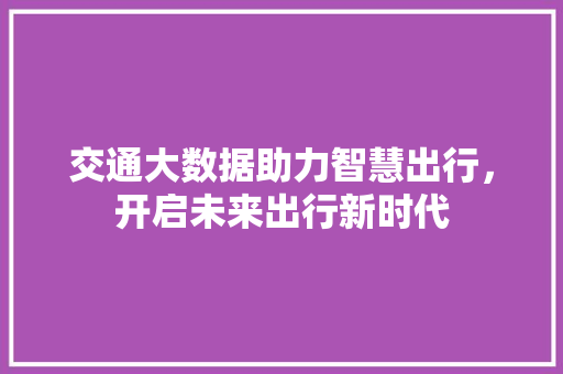 交通大数据助力智慧出行，开启未来出行新时代