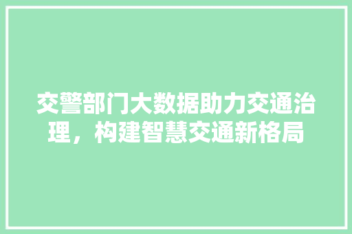 交警部门大数据助力交通治理，构建智慧交通新格局 建站教程