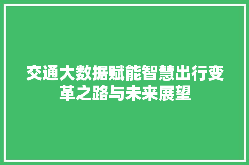 交通大数据赋能智慧出行变革之路与未来展望