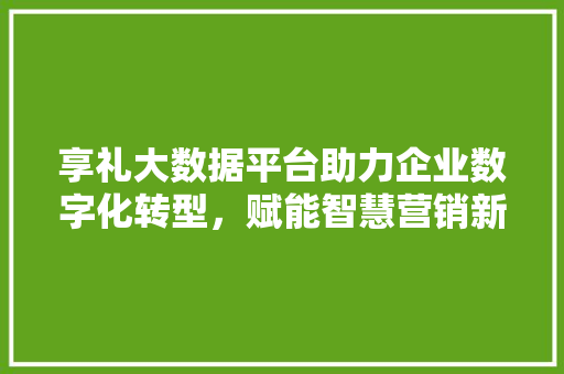 享礼大数据平台助力企业数字化转型，赋能智慧营销新未来