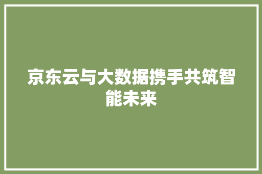 京东云与大数据携手共筑智能未来