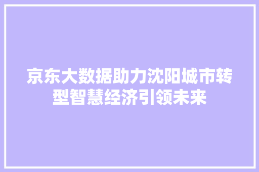 京东大数据助力沈阳城市转型智慧经济引领未来