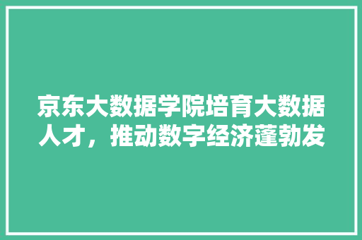 京东大数据学院培育大数据人才，推动数字经济蓬勃发展 SEO教程