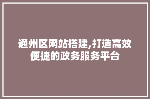 通州区网站搭建,打造高效便捷的政务服务平台