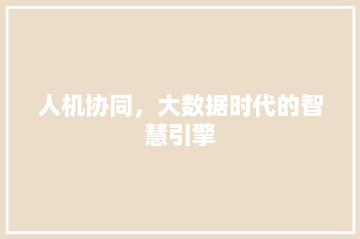 人机协同，大数据时代的智慧引擎 Web前端