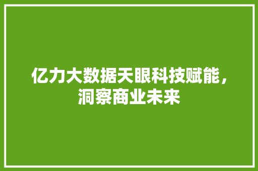 亿力大数据天眼科技赋能，洞察商业未来 建站教程