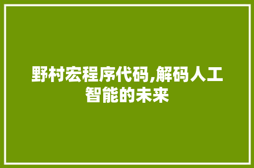 野村宏程序代码,解码人工智能的未来