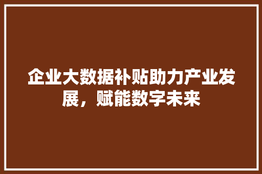 企业大数据补贴助力产业发展，赋能数字未来