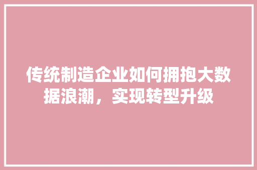 传统制造企业如何拥抱大数据浪潮，实现转型升级