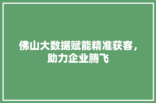 佛山大数据赋能精准获客，助力企业腾飞