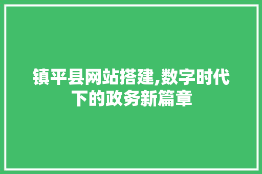 镇平县网站搭建,数字时代下的政务新篇章