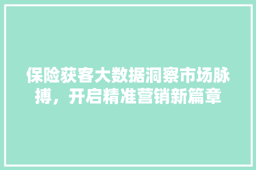 保险获客大数据洞察市场脉搏，开启精准营销新篇章 Web前端