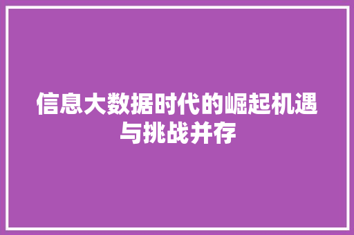 信息大数据时代的崛起机遇与挑战并存 服务器/数据库