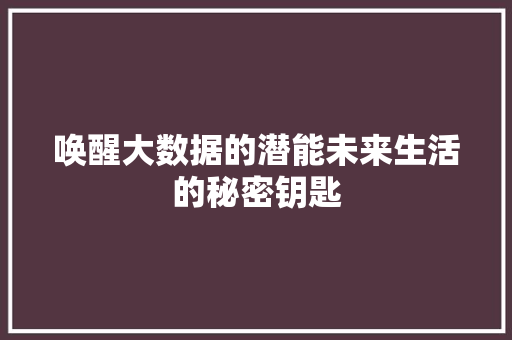 唤醒大数据的潜能未来生活的秘密钥匙
