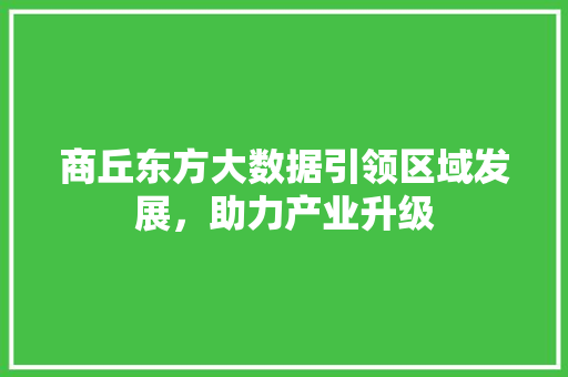 商丘东方大数据引领区域发展，助力产业升级