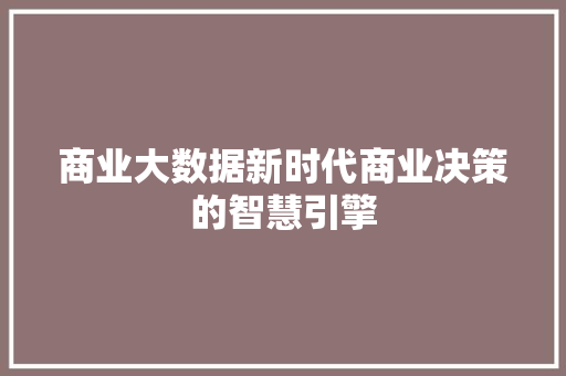商业大数据新时代商业决策的智慧引擎