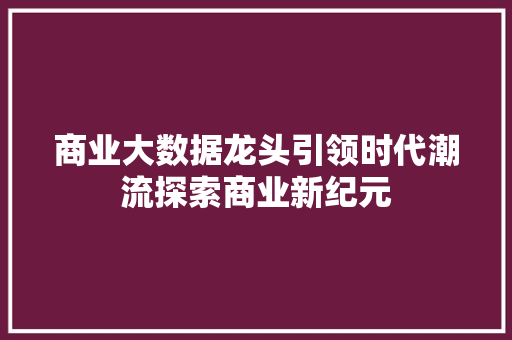 商业大数据龙头引领时代潮流探索商业新纪元 建站教程