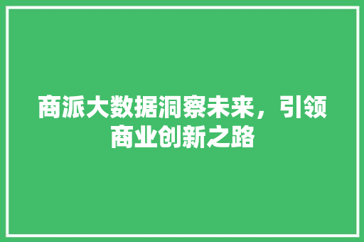 商派大数据洞察未来，引领商业创新之路 Web前端