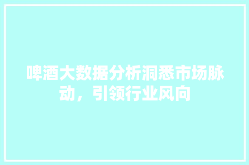 啤酒大数据分析洞悉市场脉动，引领行业风向 SEO教程