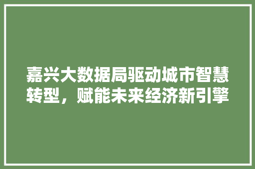 嘉兴大数据局驱动城市智慧转型，赋能未来经济新引擎