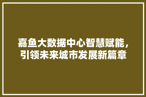 嘉鱼大数据中心智慧赋能，引领未来城市发展新篇章 友链在线