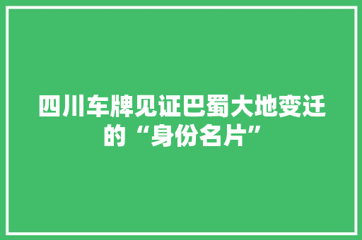 四川车牌见证巴蜀大地变迁的“身份名片”