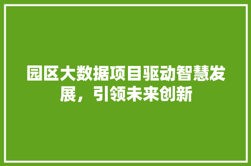 园区大数据项目驱动智慧发展，引领未来创新