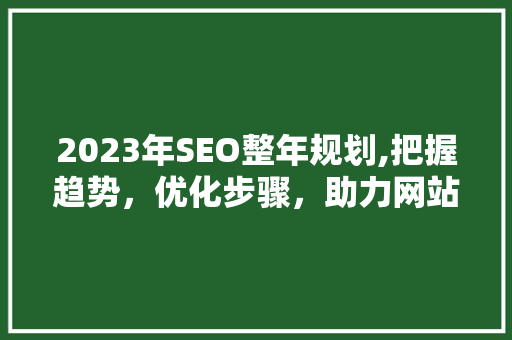 2023年SEO整年规划,把握趋势，优化步骤，助力网站排名提升