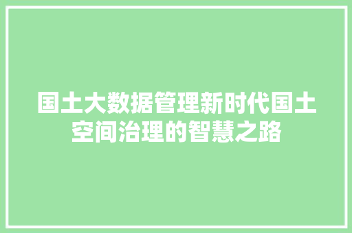 国土大数据管理新时代国土空间治理的智慧之路