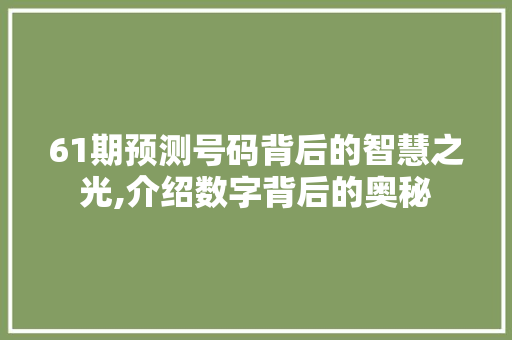61期预测号码背后的智慧之光,介绍数字背后的奥秘