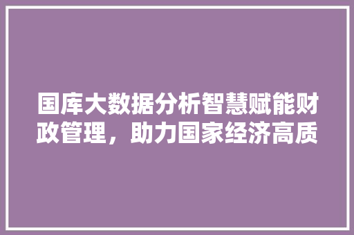 国库大数据分析智慧赋能财政管理，助力国家经济高质量发展