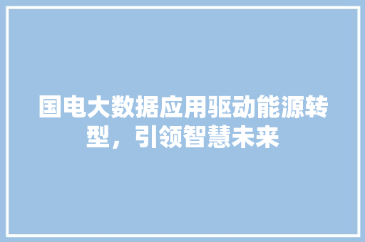 国电大数据应用驱动能源转型，引领智慧未来 SEO教程