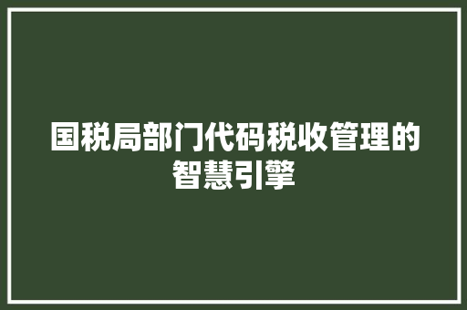 国税局部门代码税收管理的智慧引擎 建站教程
