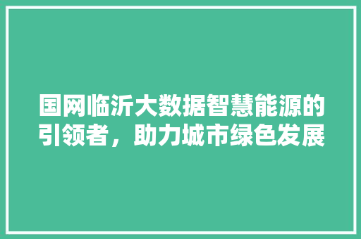 国网临沂大数据智慧能源的引领者，助力城市绿色发展