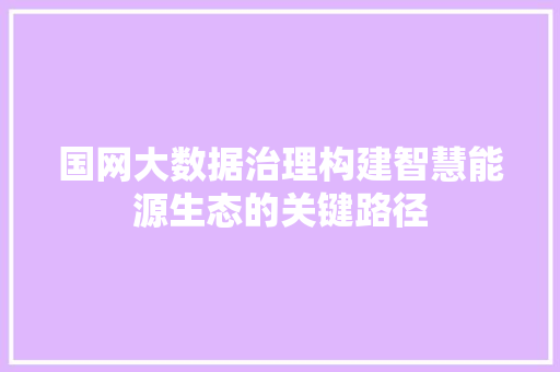 国网大数据治理构建智慧能源生态的关键路径