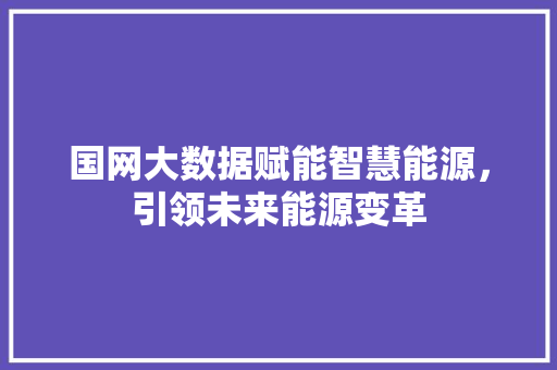 国网大数据赋能智慧能源，引领未来能源变革