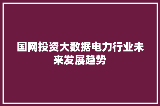 国网投资大数据电力行业未来发展趋势 建站教程