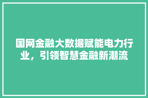 国网金融大数据赋能电力行业，引领智慧金融新潮流