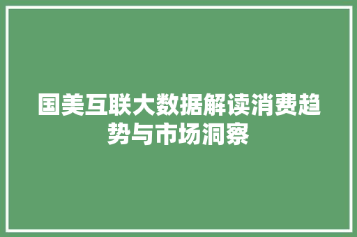 国美互联大数据解读消费趋势与市场洞察 Web前端