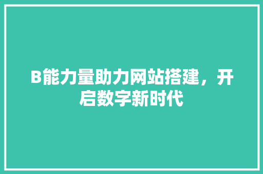 B能力量助力网站搭建，开启数字新时代