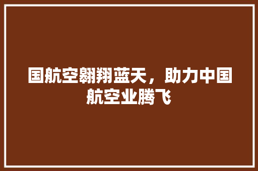 国航空翱翔蓝天，助力中国航空业腾飞 建站教程
