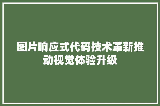 图片响应式代码技术革新推动视觉体验升级 WordPress教程