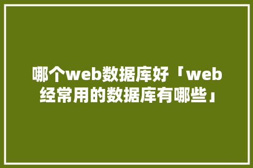 哪个web数据库好「web经常用的数据库有哪些」 WordPress教程